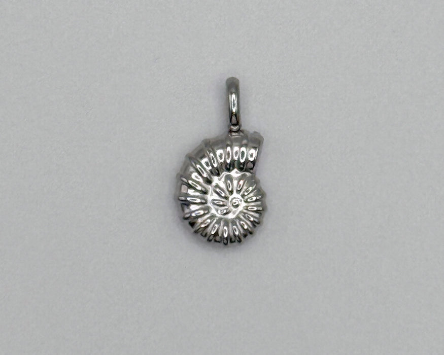Stainless steel small nautilus shell charm