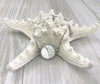 Anna Maria Island Nautical Map Pendant Bracelet on Starfish